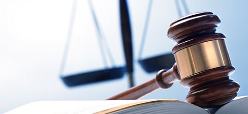 Securities Litigation